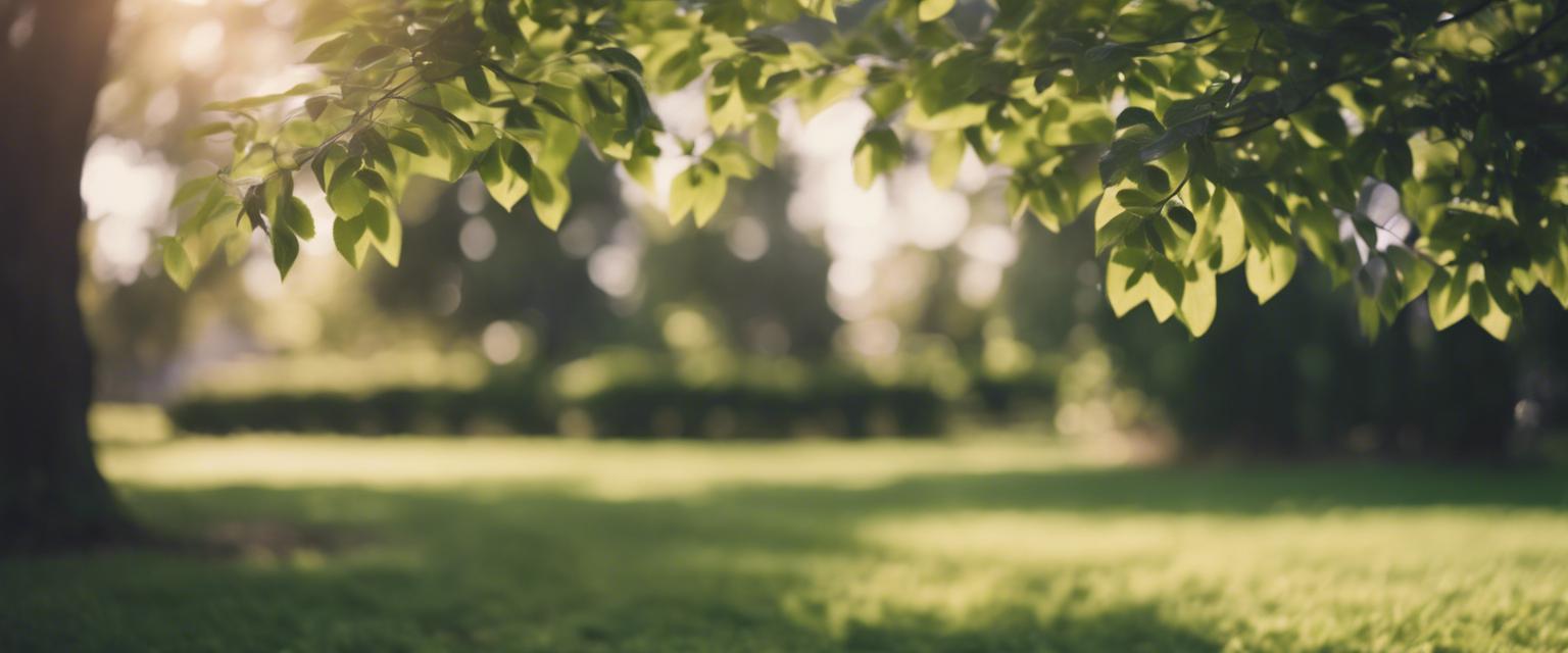 Guide de Taille pour Arbres à Croissance Rapide