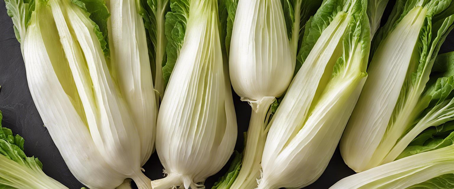 Variétés populaires d'endive