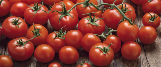 Variétés populaires de tomate