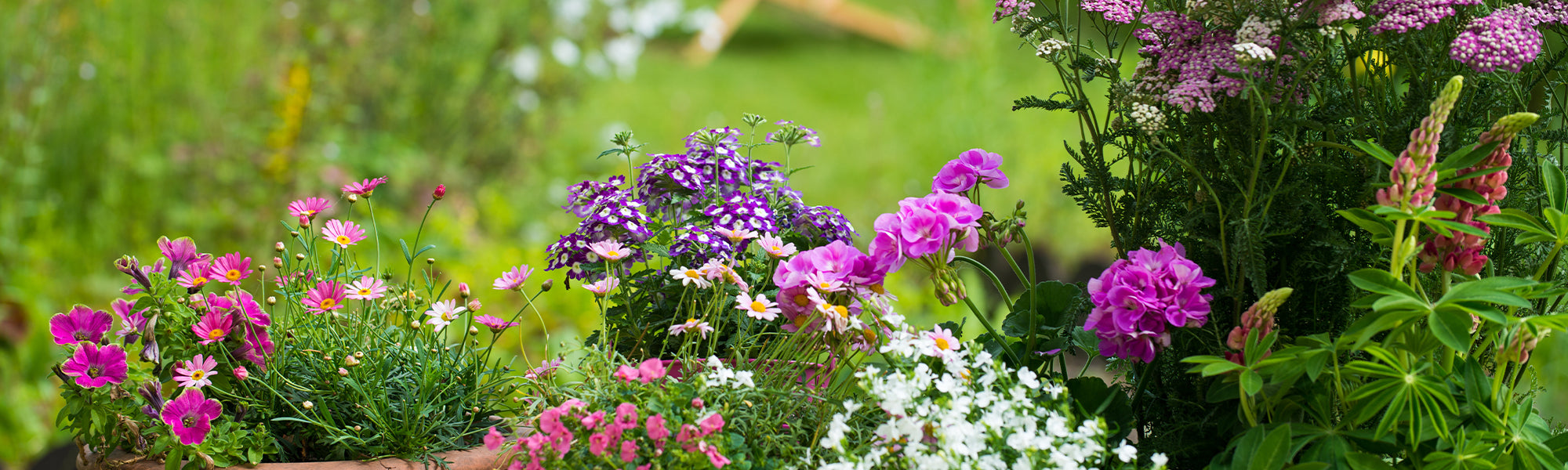 Acheter Pot de plantes à Double couche, plantation robuste et utile, bassin  vert à arrosage automatique, Pot de fleurs de balcon