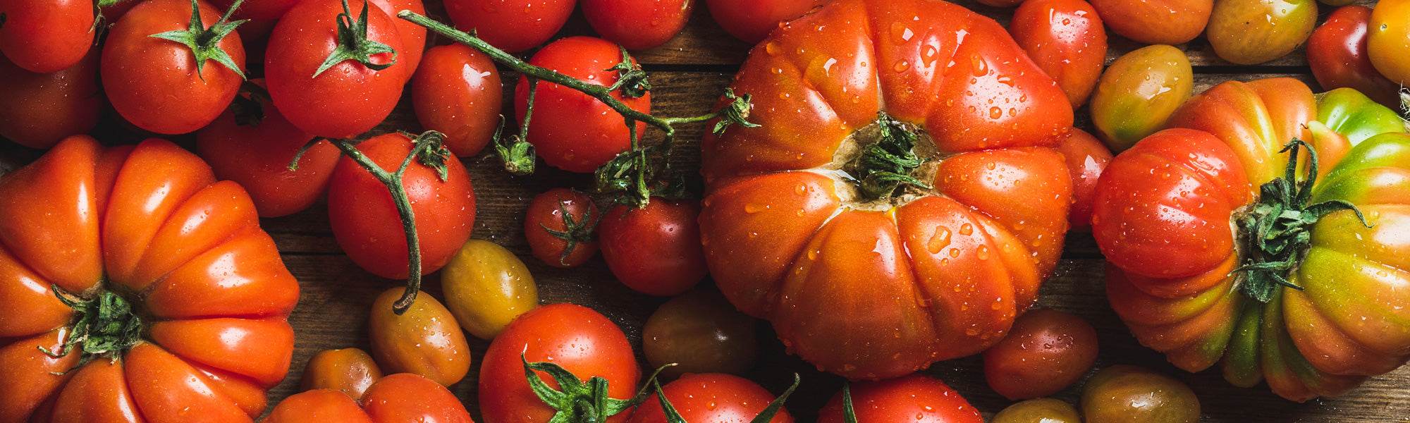Tomates  Achat, Vente en ligne - Willemse