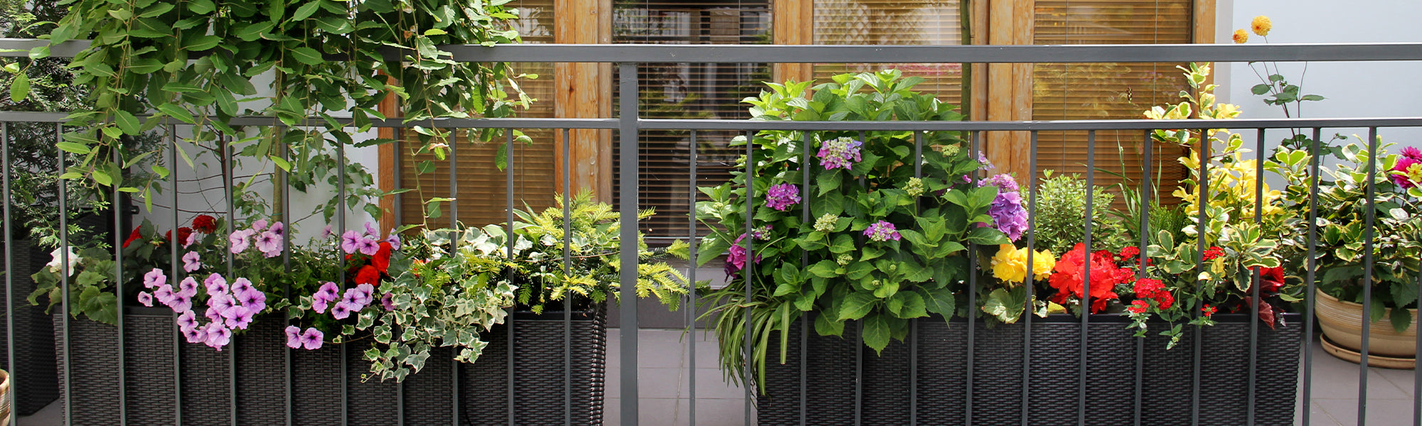 11 idées de jardinières pour fleurir mon balcon - Gamm vert