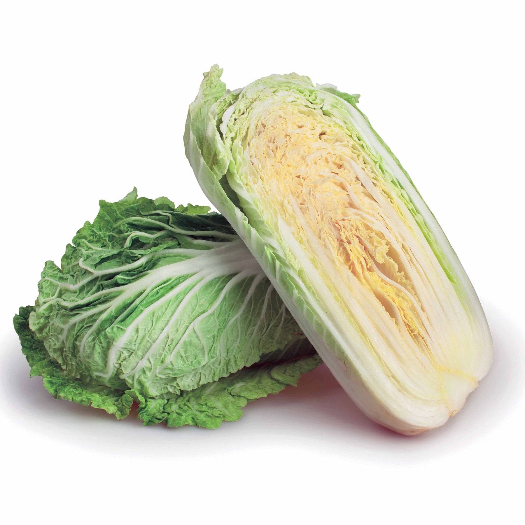 Chou de Chine Pe-Tsai - Brassica rapa pekinensis pe-tsai - Potager