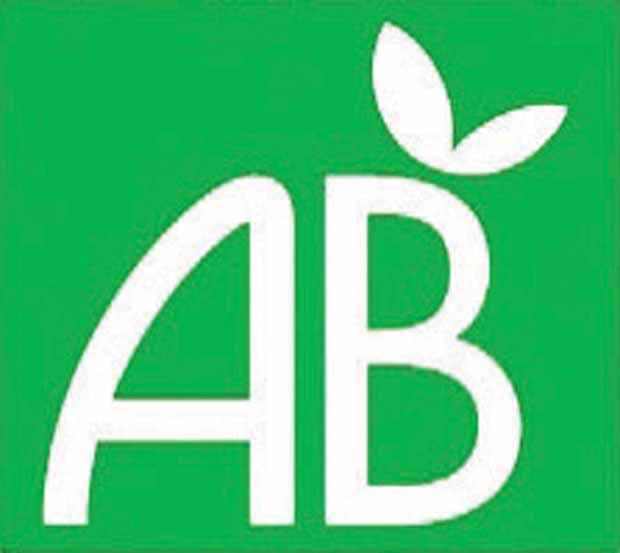 Radis De 18 jours demi-long Bio - Raphanus sativus de 18 jours 1/2 long - Willemse