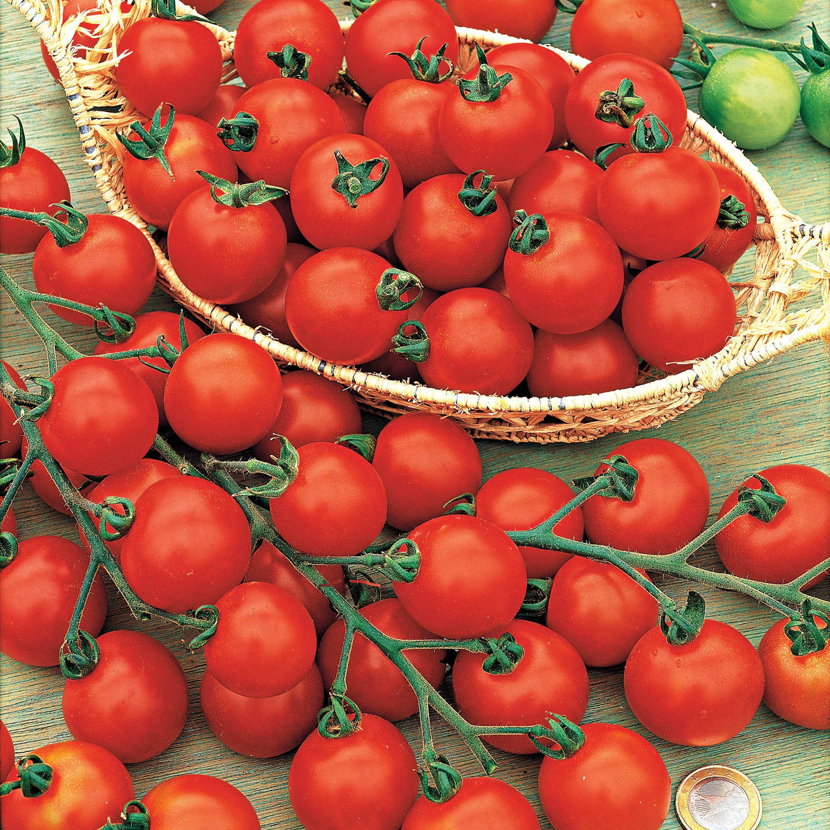 Tomate Rosso Cremlin F1 - type Sweet 100 - Solanum lycopersicum rosso cremlin f1 - Graines de fruits et légumes