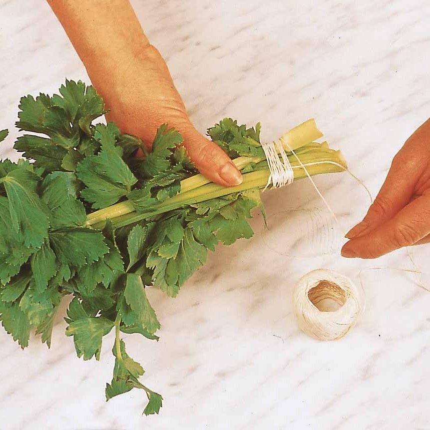 Céleri vivace à couper - Apium graveolens - Graines de fruits et légumes