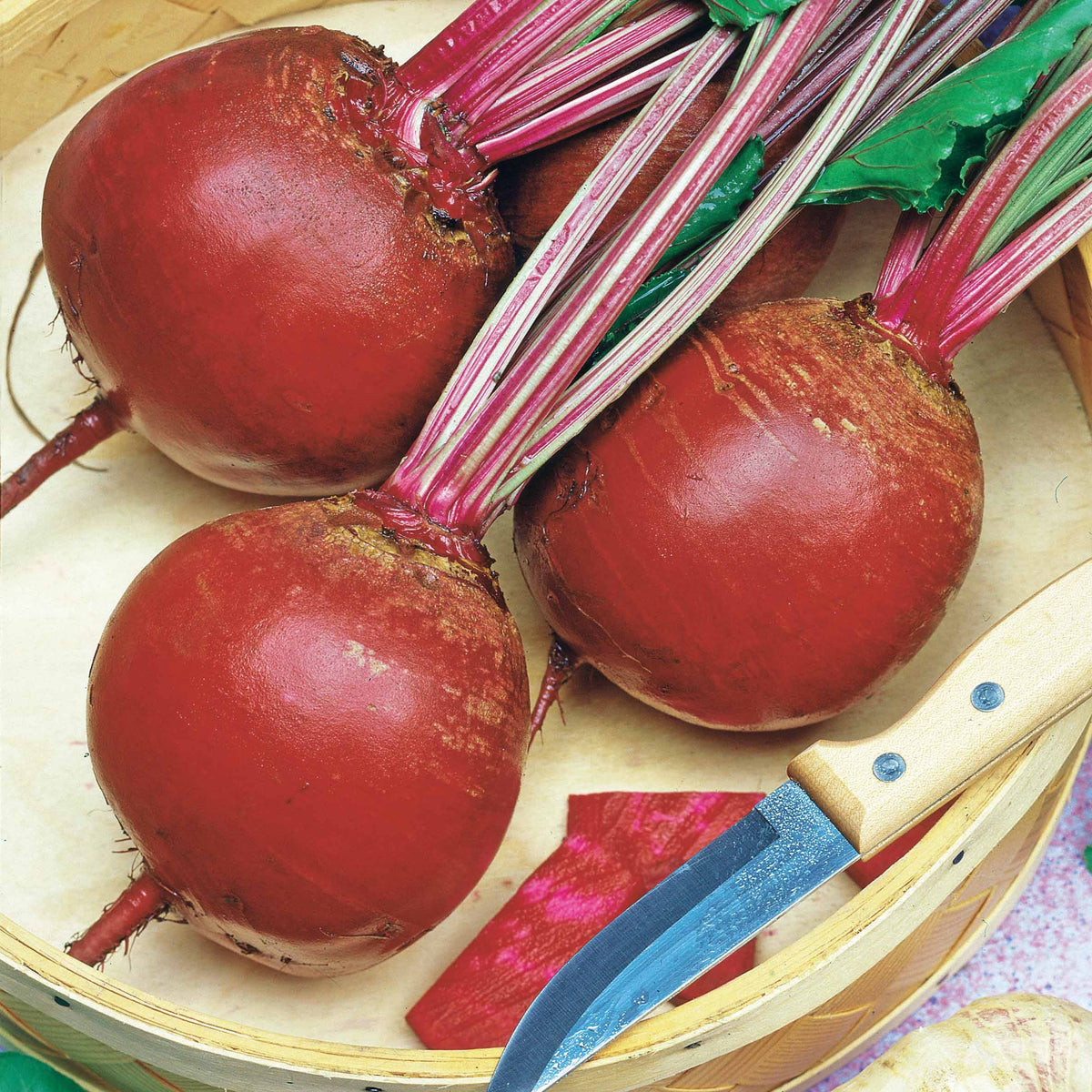 Betterave rouge De Détroit 5 race Loki - Beta vulgaris rouge de détroit 5 race loki(25 g) - Willemse