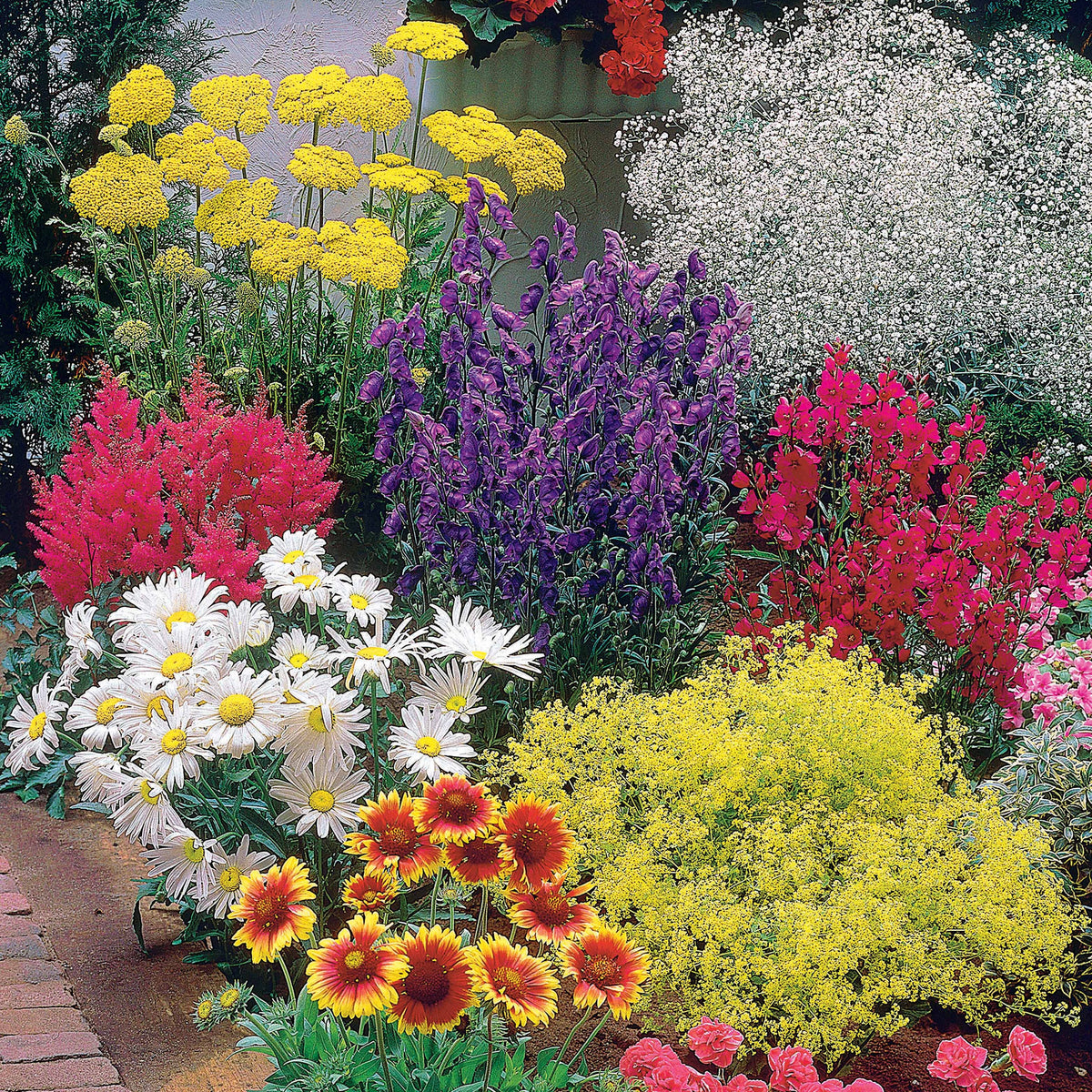 Massif fleuri facile - 8 plantes vivaces - Superficie environ 1,5 m² - Plantes