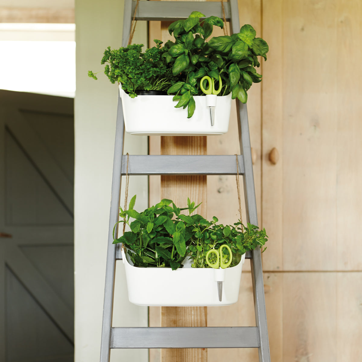 Cache-pot Brussels Herbs Station blanc ELHO - - Willemse