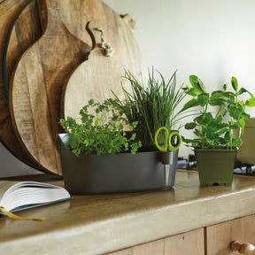 Cache-pot Brussels Herbs Station anthracite ELHO - Cache-pots