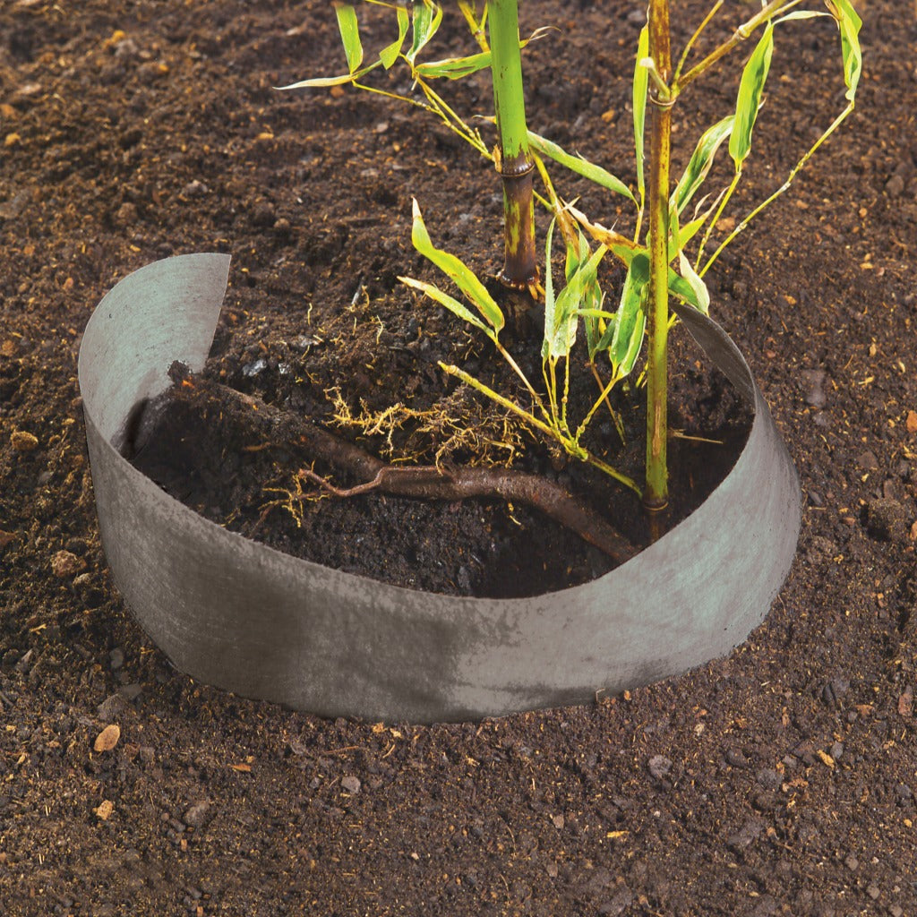 Barrière anti-rhizomes - Stop racines - - Willemse