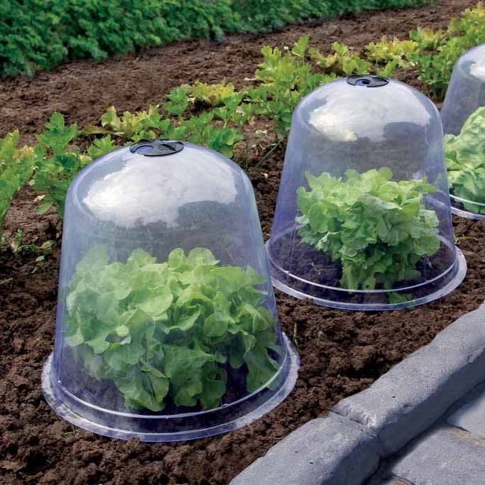 3 Cloches de forçage - Equipement