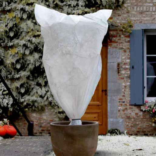 Lot 3 housses hivernage - - Willemse