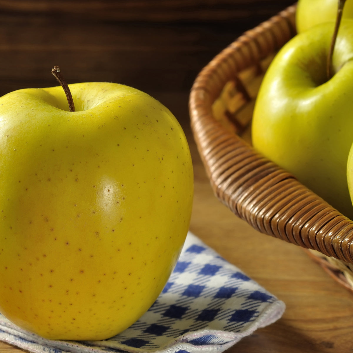 Mini pommier Golden Yellow Spur - Malus domestica Golden Yellow Spur - Willemse