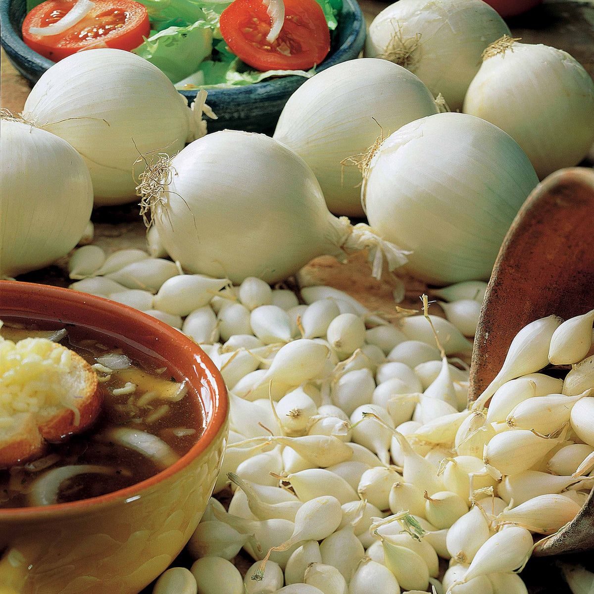 Collection de 3 Oignons: Snowball, Stuttgart, Brunswick - Allium cepa snowball, stuttgart, brunswick - Willemse