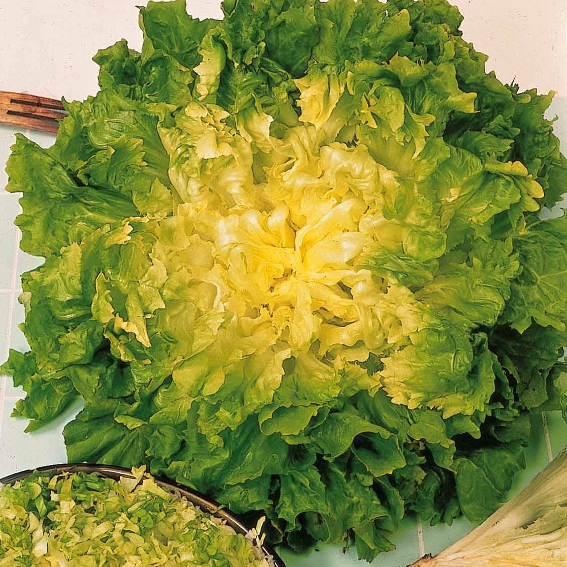 Collection de salades - Coll. 7 mois de salades (reine mai, lollo rossa, coeur plein, blond - Graines de fruits et légumes