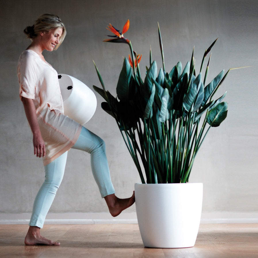 Cache-pot Brussels Round Wheels anthracite ELHO - - Willemse