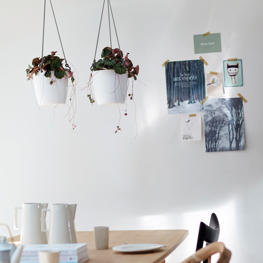 Suspension Brussels Hanging Basket D18 anthracite - - Willemse