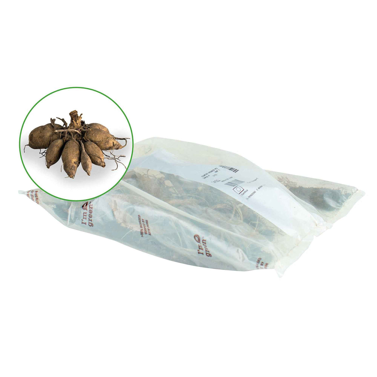 3 Dahlias géant Lavender Perfection - Dahlia 'lavender perfection' - Willemse