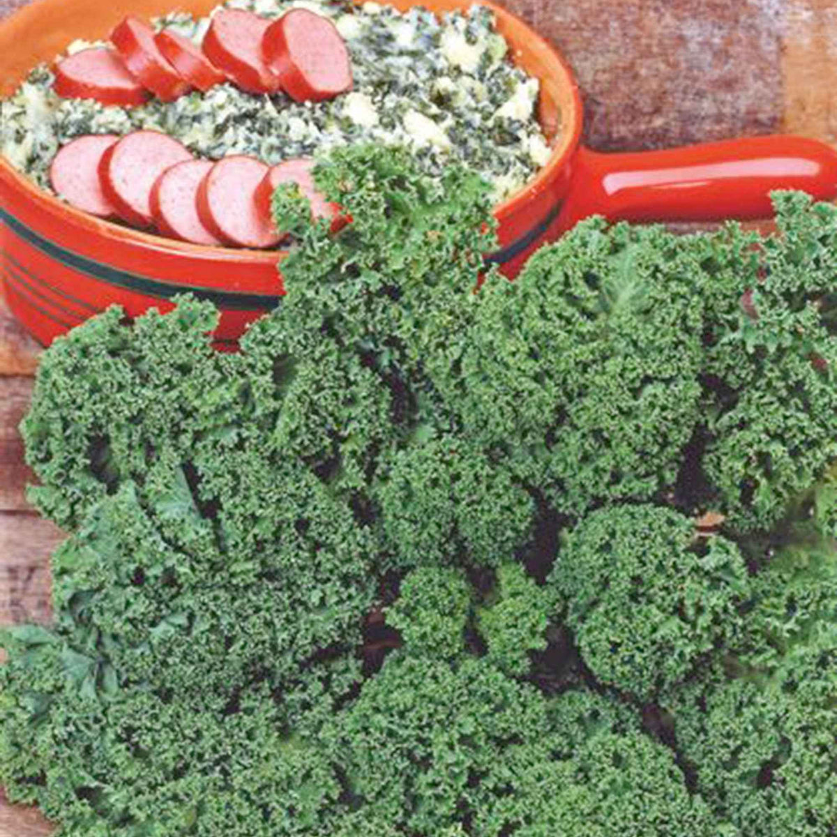 Chou frisé d'automne tardif Westlandse Herfst Kale - Brassica oleracea sabauda westlandse herfst kale - Graines de fruits et légumes