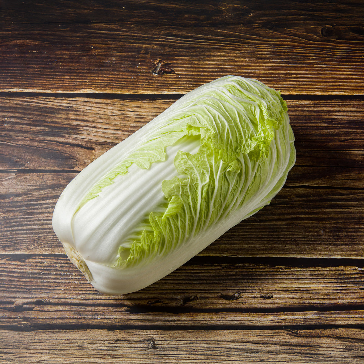 Chou de Chine Pe-Tsai - Brassica rapa pekinensis pe-tsai - Willemse