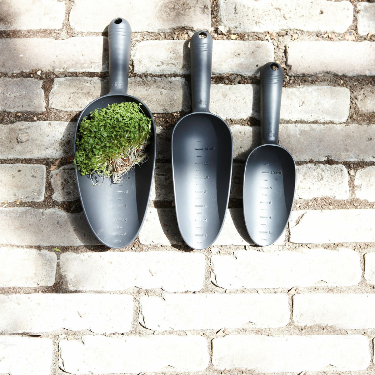 Elho pelle - - Willemse