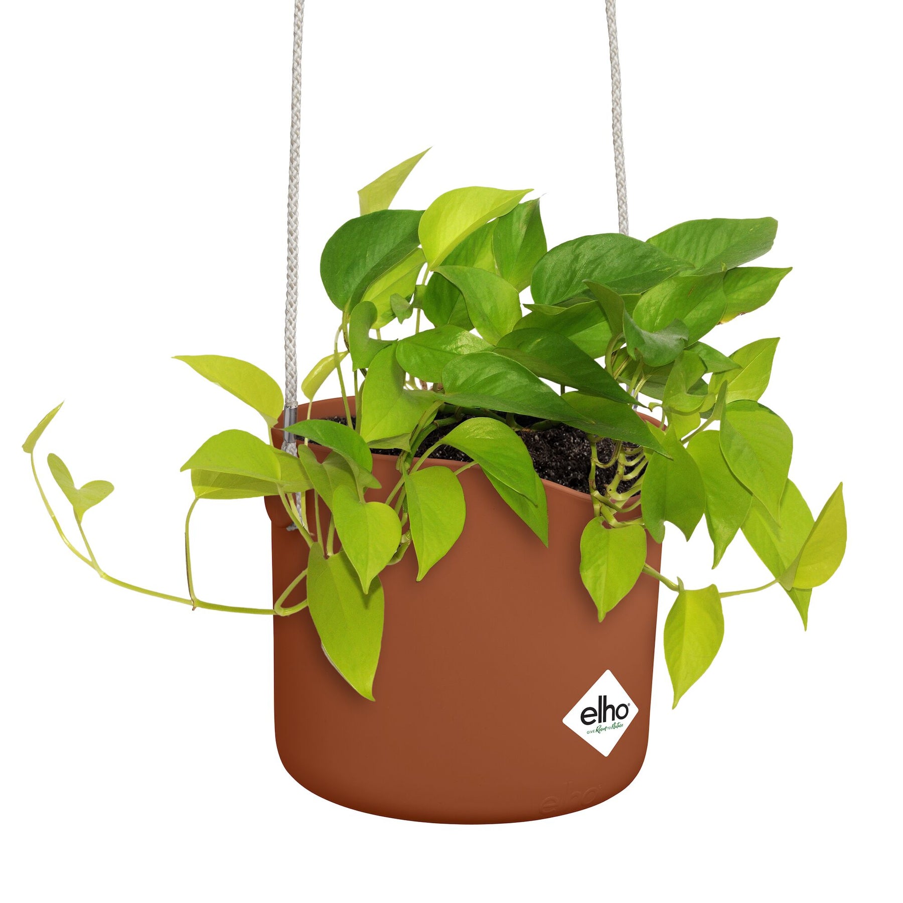 Suspension B for swing terracotta ELHO