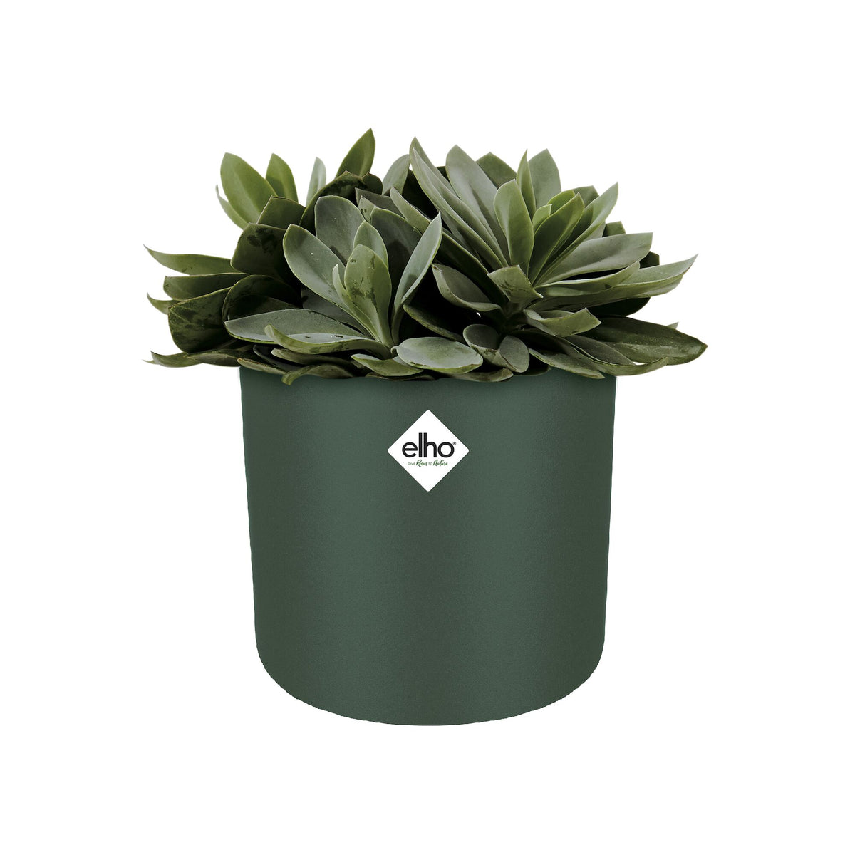 Elho Cache-pot B for soft rond leaf green - - Willemse