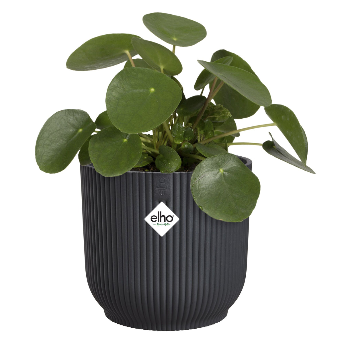 Cache-Pot Vibes fold rond Anthracite ELHO - - Willemse