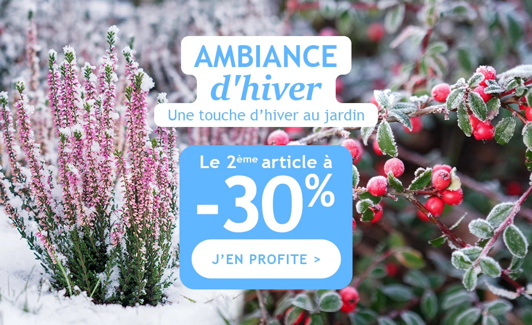 Ambiance d'hiver, 1 article acheté le 2e à -30%
