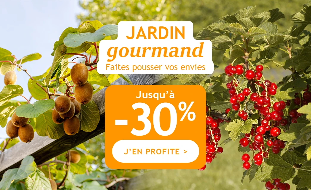 Jusqu'à -30% pour un jardin gourmand !