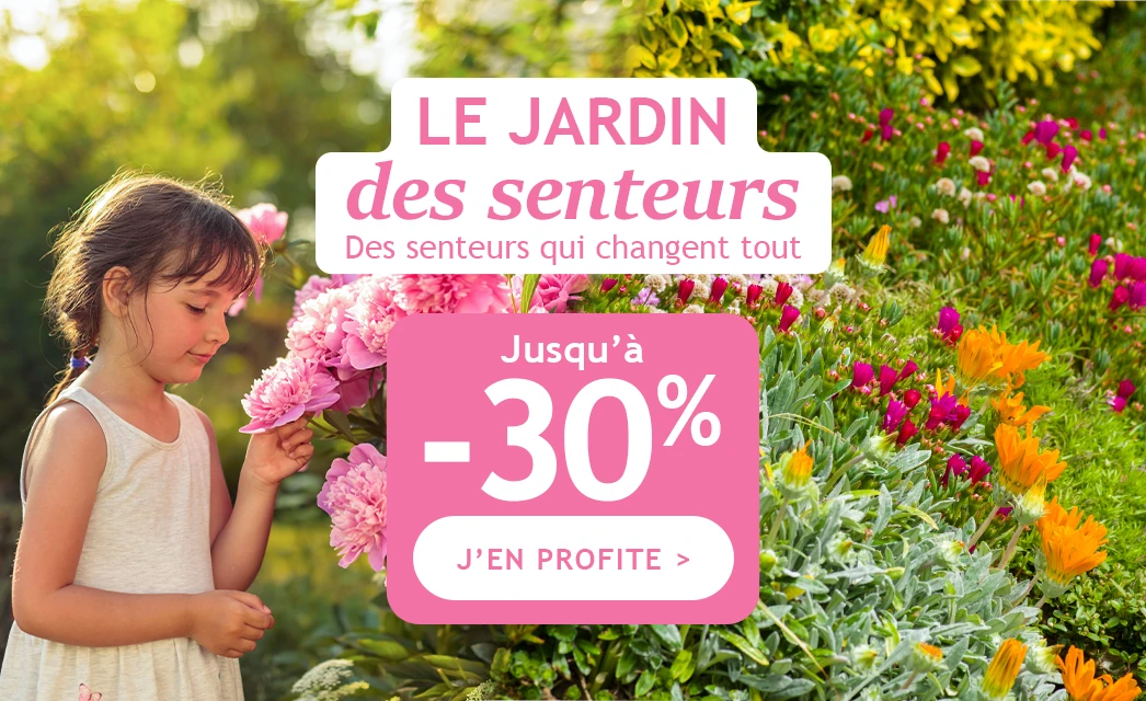 Le jardin des senteurs : jusqu’à -30% !