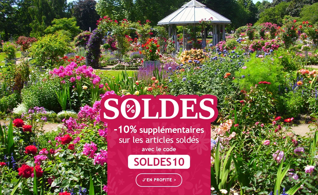 Soldes jusqu’à -40% : dernière ligne droite !