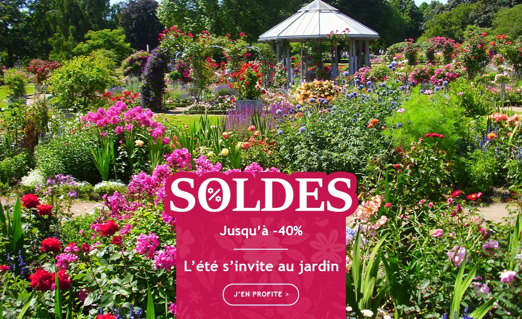 Soldes d’été jusqu’à -40% de remise