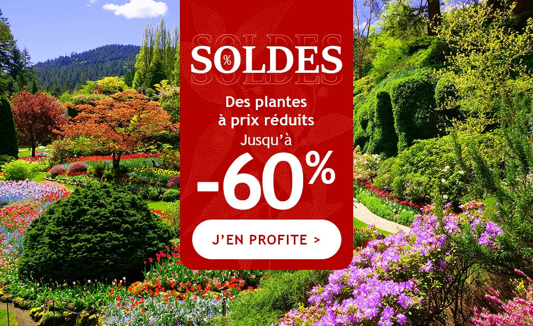 Les soldes commencent: jusqu'à -60% de remise !
