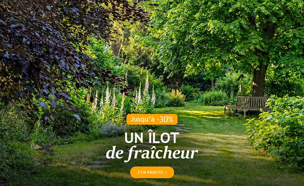 Un îlot de fraîcheur jusqu’à -30% de remise !