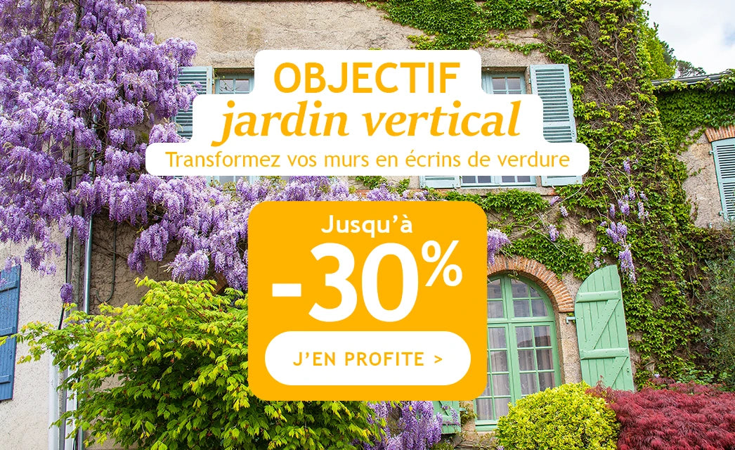 Objectif jardin vertical : jusqu'à -30%