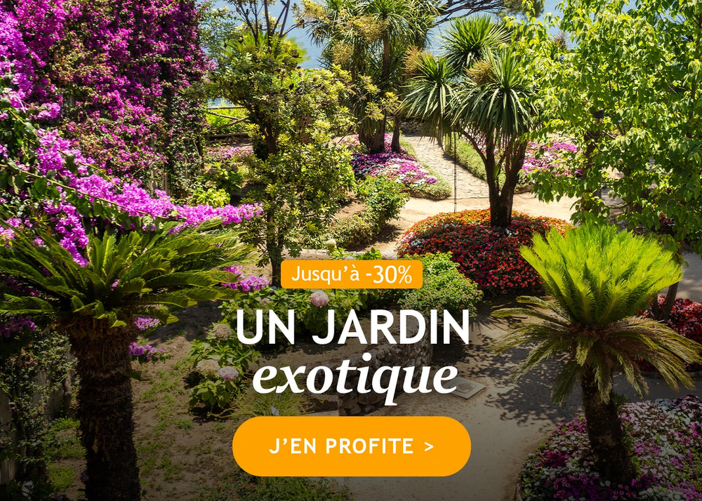 Jusqu'à -30% pour un jardin exotique !