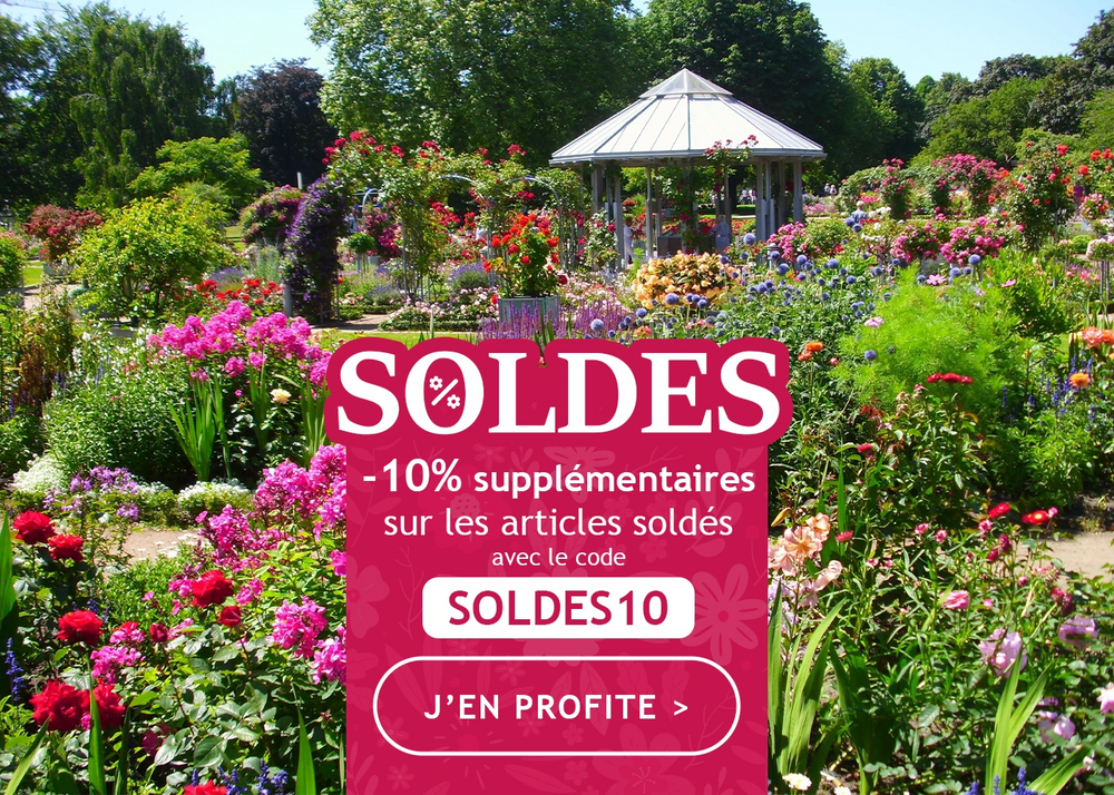 Soldes jusqu’à -40% : dernière ligne droite !