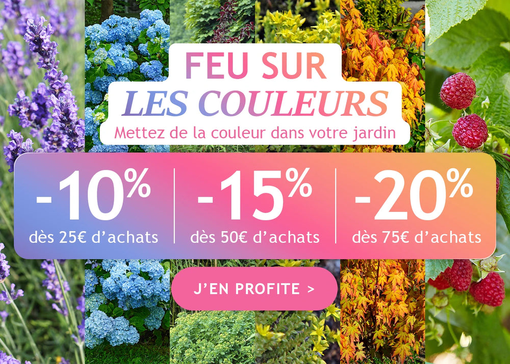 Jusqu'à -20% pour colorer le jardin