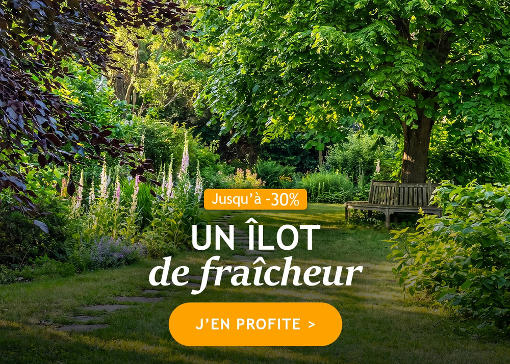 Un îlot de fraîcheur jusqu’à -30% de remise !