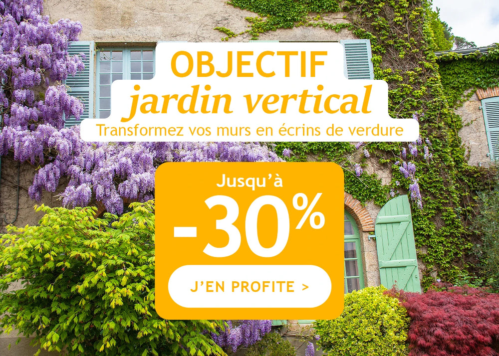 Objectif jardin vertical : jusqu'à -30%