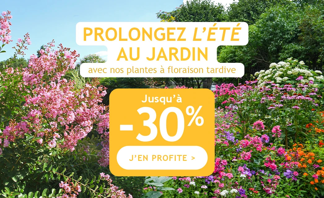 Jusqu'à -30% pour prolonger la floraison !