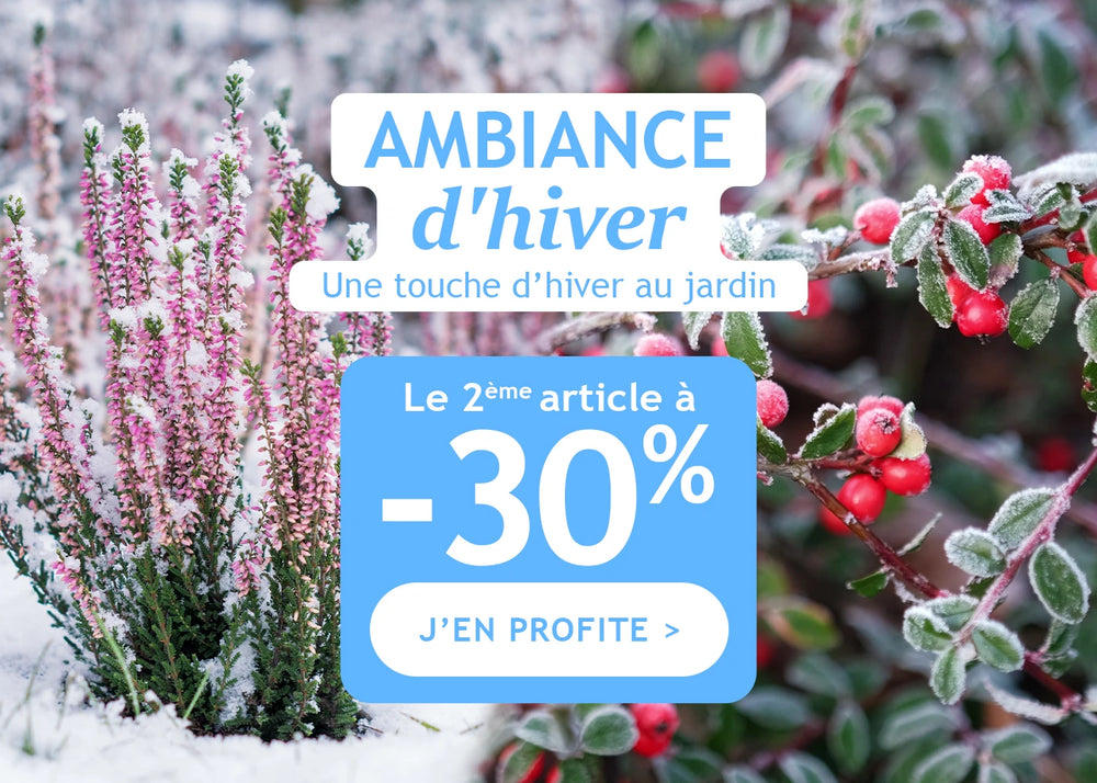 Ambiance d'hiver, 1 article acheté le 2e à -30%