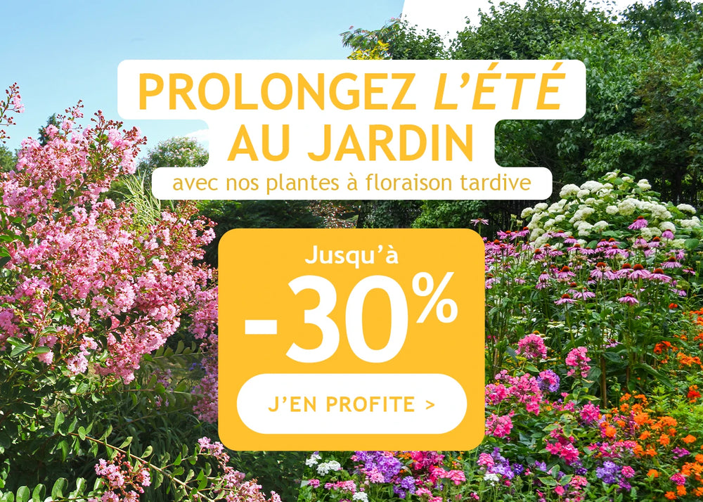 Jusqu'à -30% pour prolonger la floraison !