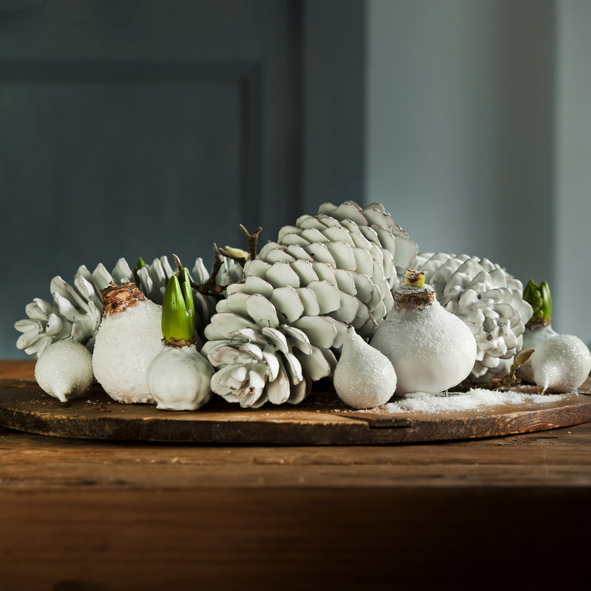 Wax Amaryllis Magic White - Amaryllis Magic White - Willemse