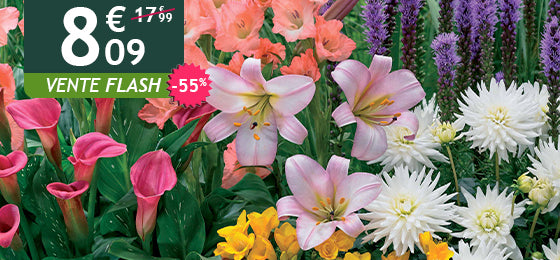 Le lot de 31 bulbes en mélange est à -55% soit 8,09€ au lieu de 17,99€ !