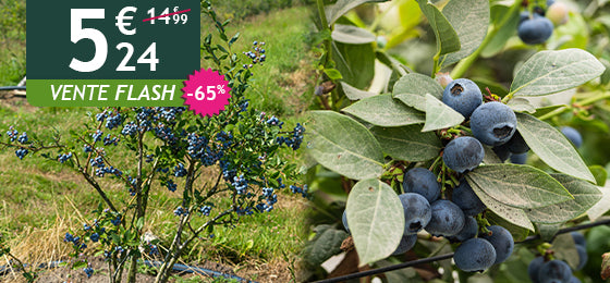 Myrtillier Vitaminos Extra est à -65% soit 5,24€ au lieu de 14,99€