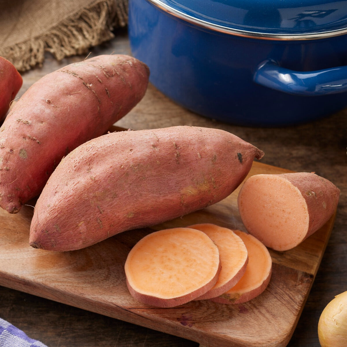 Patate douce - Ipomoea batatas - Willemse