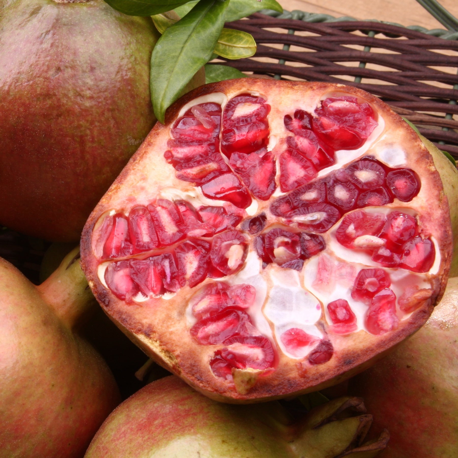 Grenadier à fruits Fina Tendral - Punica granatum fina tendral - Fruitiers Arbres et arbustes